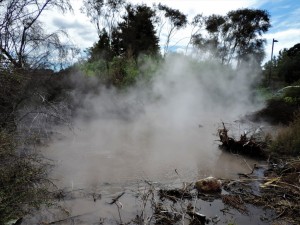 DSCN7925