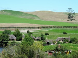DSCN7979