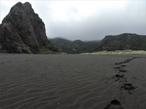 DSCN8080