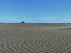 DSCN8139